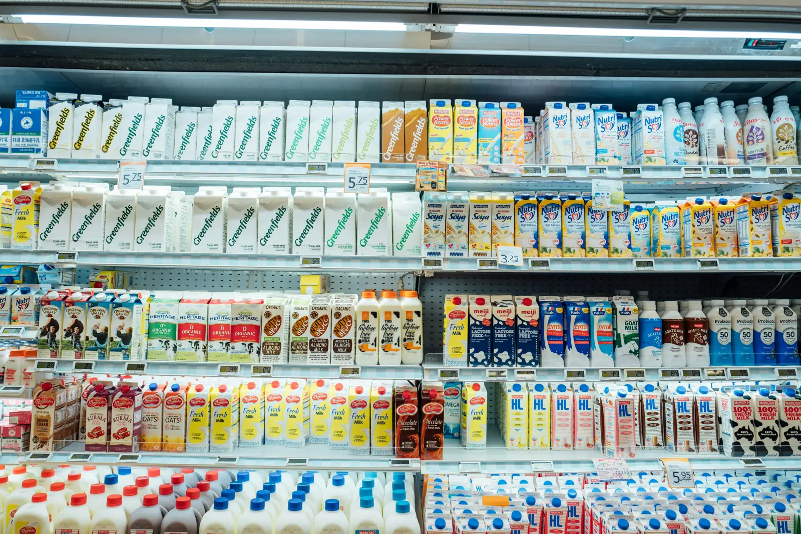 Dairy and chilled products on supermarket shelves